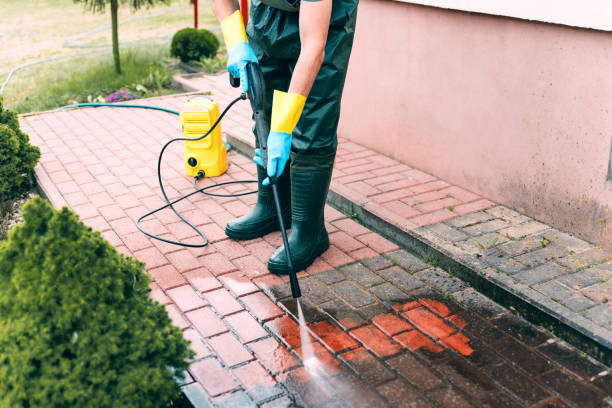 Best Dumpster Area Cleaning  in Mackinaw, IL